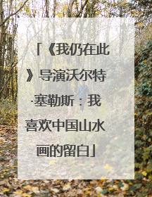 《我仍在此》导演沃尔特·塞勒斯：我喜欢中国山水画的留白