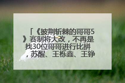 《披荆斩棘的哥哥5》赛制将大改，不再是找30位哥哥进行比拼，苏醒、王栎鑫、王铮亮、张远等多名男团选手被曝将参加