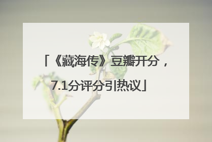 《藏海传》豆瓣开分，7.1分评分引热议