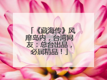 《藏海传》风靡岛内，台湾网友：总台出品，必属精品！