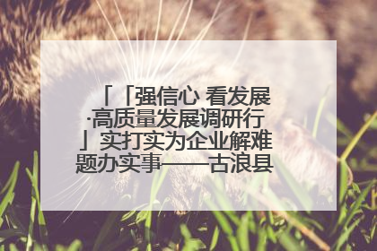 「强信心 看发展·高质量发展调研行」实打实为企业解难题办实事——古浪县优化营商环境助力企业高质量发展见闻