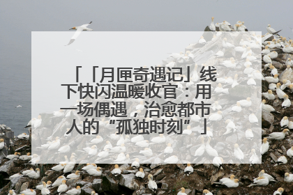 「月匣奇遇记」线下快闪温暖收官：用一场偶遇，治愈都市人的“孤独时刻”