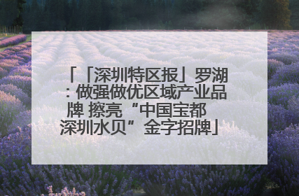 「深圳特区报」罗湖：做强做优区域产业品牌 擦亮“中国宝都 深圳水贝”金字招牌