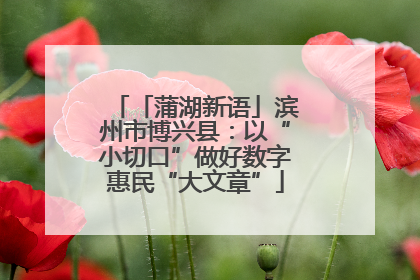 「蒲湖新语」滨州市博兴县：以“小切口”做好数字惠民“大文章”