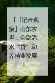 「记者观察」山东农担：金融活水“贷”动养殖业发展