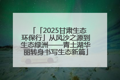 「2025甘肃生态环保行」从风沙之源到生态绿洲——青土湖华丽转身书写生态新篇
