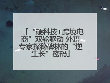 “硬科技+跨境电商”双轮驱动 外籍专家探秘碑林的“逆生长”密码