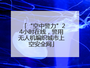 “空中警力”24小时在线，警用无人机编织城市上空安全网