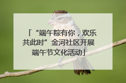 “端午粽有你，欢乐共此时”金河社区开展端午节文化活动