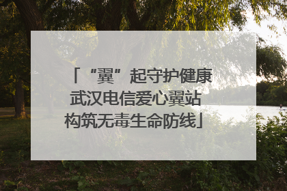 “翼”起守护健康 武汉电信爱心翼站构筑无毒生命防线