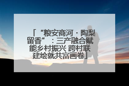“粮安商河・陶梨留香”：三产融合赋能乡村振兴 跨村联建绘就共富画卷