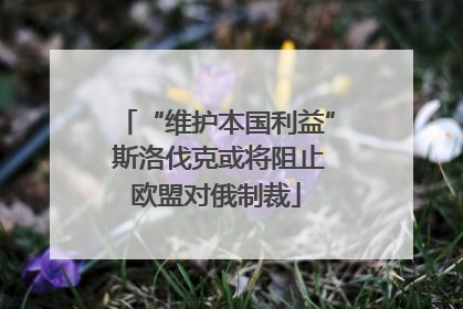 “维护本国利益” 斯洛伐克或将阻止欧盟对俄制裁
