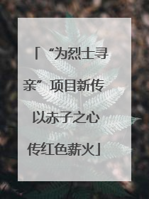 “为烈士寻亲”项目新传 以赤子之心传红色薪火