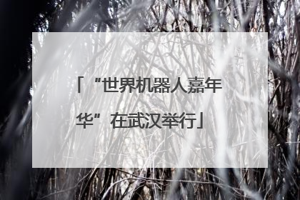 “世界机器人嘉年华”在武汉举行