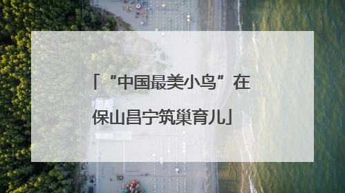 “中国最美小鸟”在保山昌宁筑巢育儿