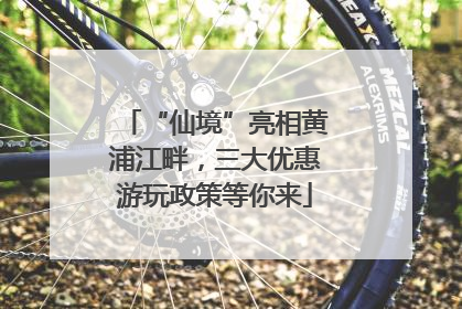 “仙境”亮相黄浦江畔，三大优惠游玩政策等你来