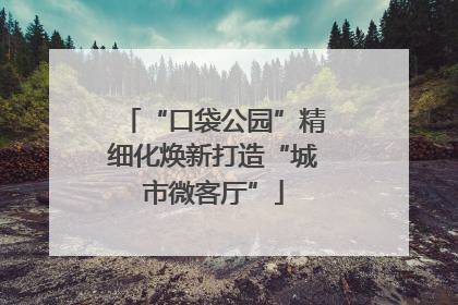 “口袋公园”精细化焕新打造“城市微客厅”
