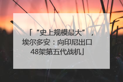 “史上规模最大”，埃尔多安：向印尼出口48架第五代战机