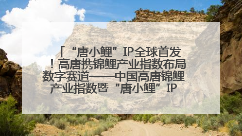 “唐小鲤”IP全球首发！高唐携锦鲤产业指数布局数字赛道——中国高唐锦鲤产业指数暨“唐小鲤”IP全球首发仪式在杭州举行
