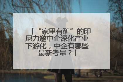“家里有矿”的印尼力邀中企深化产业下游化，中企有哪些最新考量？