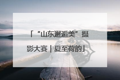 “山东邂逅美”摄影大赛｜夏至荷韵