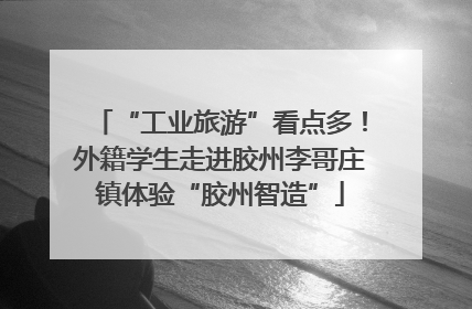 “工业旅游”看点多！外籍学生走进胶州李哥庄镇体验“胶州智造”