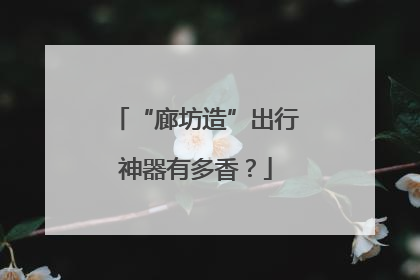 “廊坊造”出行神器有多香？