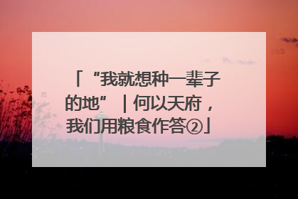 “我就想种一辈子的地”｜何以天府，我们用粮食作答②