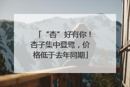 “杏”好有你！杏子集中登鹭，价格低于去年同期