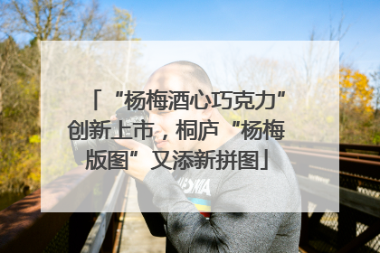“杨梅酒心巧克力”创新上市，桐庐“杨梅版图”又添新拼图