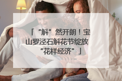 “斛”然开朗！宝山罗泾石斛花节绽放“花样经济”