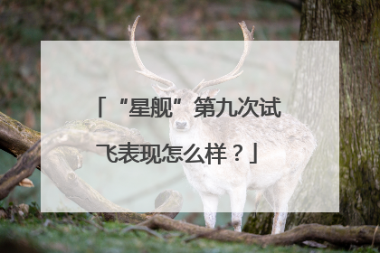 “星舰”第九次试飞表现怎么样？