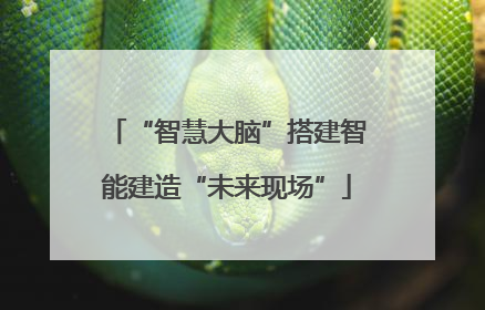 “智慧大脑”搭建智能建造“未来现场”