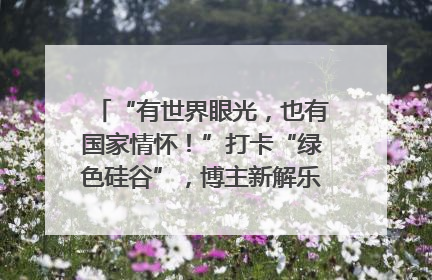 “有世界眼光，也有国家情怀！”打卡“绿色硅谷”，博主新解乐山｜网络名人四川行