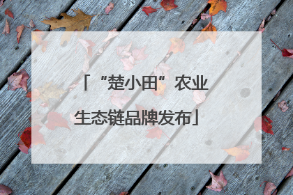“楚小田”农业生态链品牌发布