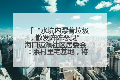 “水坑内漂着垃圾，散发阵阵恶臭” 海口迈瀛社区居委会：系村里宅基地，将派人打捞垃圾