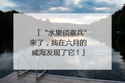 “水果侦察兵”来了，我在六月的威海发现了它！
