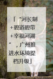 “河长制+碧道碧带+幸福河湖”，广州推进水环境提档升级