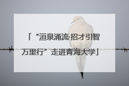 “洹泉涌流·招才引智万里行”走进青海大学