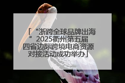 “浙跨全球品牌出海”2025衢州第五届四省边际跨境电商资源对接活动成功举办