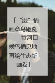 “湿”情画意鸟翩跹——黄河口候鸟栖息地再绘生态新画卷