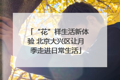 “花”样生活新体验 北京大兴区让月季走进日常生活