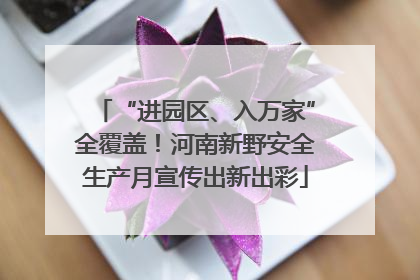 “进园区、入万家”全覆盖！河南新野安全生产月宣传出新出彩