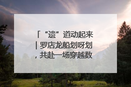 “遗”道动起来｜罗店龙船划呀划，共赴一场穿越数百年的端午之约