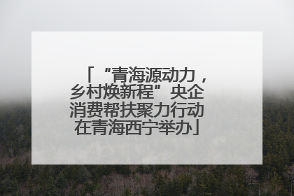“青海源动力，乡村焕新程”央企消费帮扶聚力行动在青海西宁举办