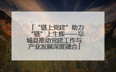 “链上党建”助力“链”上生辉——阜城县推动党建工作与产业发展深度融合