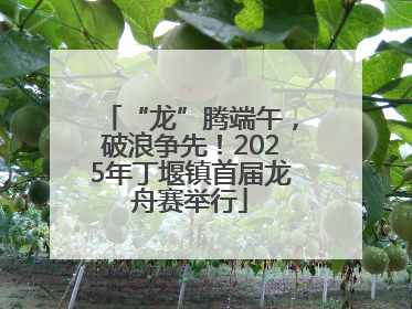 “龙”腾端午，破浪争先！2025年丁堰镇首届龙舟赛举行