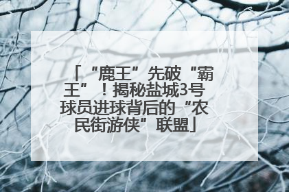 “鹿王”先破“霸王”！揭秘盐城3号球员进球背后的“农民街游侠”联盟