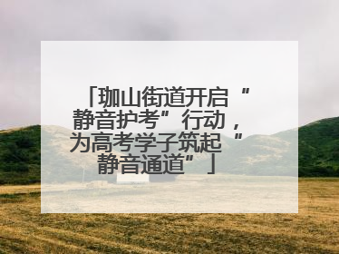 珈山街道开启“静音护考”行动，为高考学子筑起“静音通道”