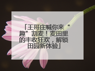 王哥庄喊你来“趣”割麦！麦田里的丰收狂欢，解锁田园新体验
